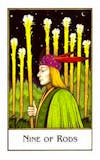 New Paladini Tarot - Nine of Wands