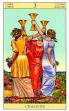 New Vision Tarot - Bekers Drie
