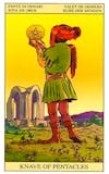New Vision Tarot - Pentakels Page
