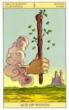 New Vision Tarot - Staven Aas