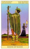 New Vision Tarot - Staven Page
