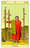 New Vision Tarot - Staven Vier